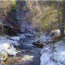 Winter in Hamsterley.