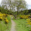 Spring in Hamsterley.