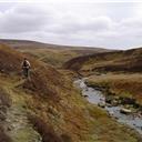 The Stanhope Burn.