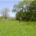 Walking along the valley floor on the Weardale Way.