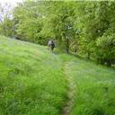 Walking through the bluebell woods after crossing the River Balder.