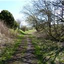 Walking along the old track bed.