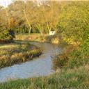 The River Tillingham