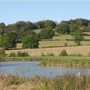 Glorious views in the Tillingham valley.