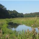 The Royal Military Canal at Pett Level.