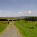 Heading down from Allotment House.