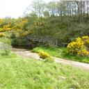 The crossing of the Rowley Burn.