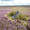 Neolithic standing stone.