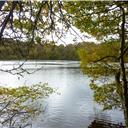 The waters of Gormire Lake.