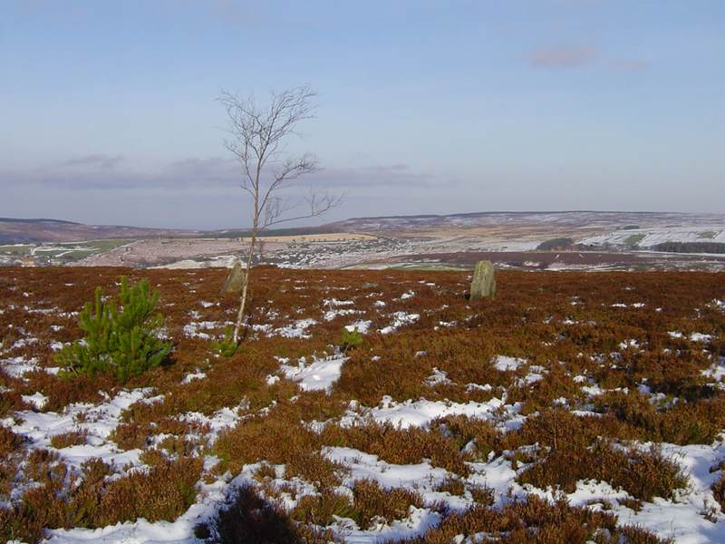 Walking in North Yorkshire