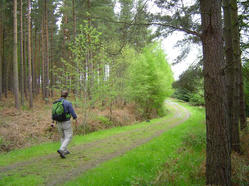 Walking in Durham