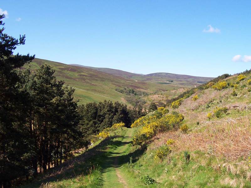 Walking in Northumberland